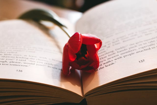 What is Mood in Literature