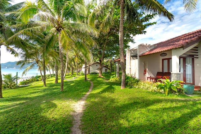 beach cottage coconut tree