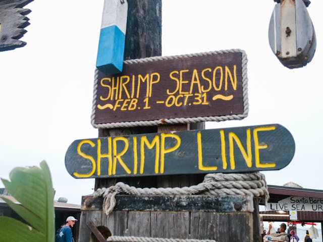 pexels-kindelmedia-fishery names
